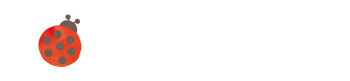 保育の流れ